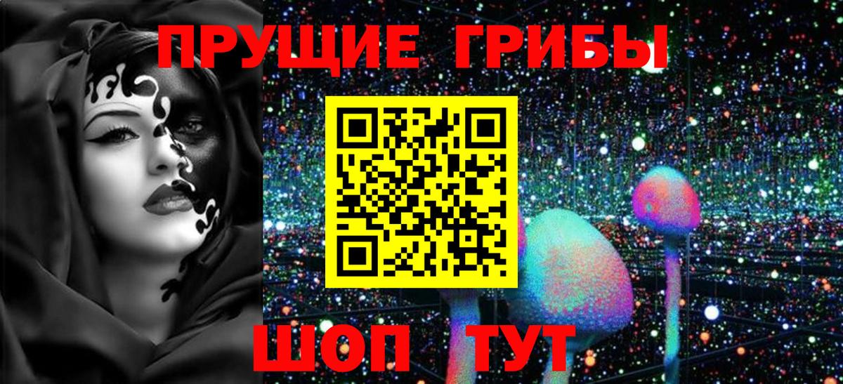 Галлюциногенные грибы Cubensis Оренбург